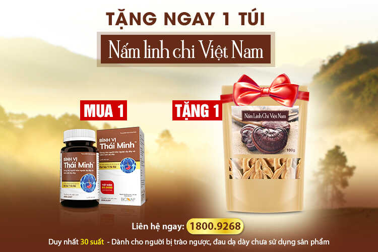 Ưu đãi đặc biệt: Tặng ngay 1 túi Nấm Linh Chi Việt Nam khi mua 1 lọ Bình Vị Thái Minh 80 viên 1